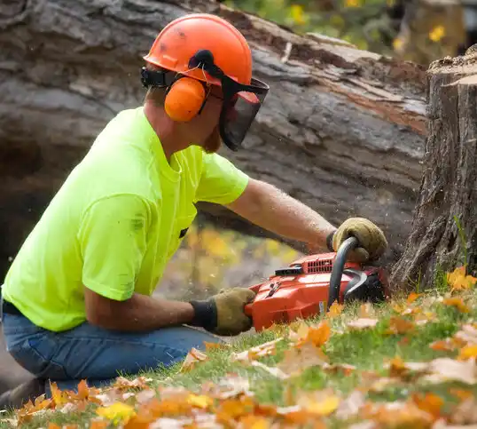 tree services Foristell